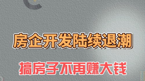 房企開發(fā)退潮 地產(chǎn)轉(zhuǎn)型期，房地產(chǎn)信息咨詢的崛起與價值重塑